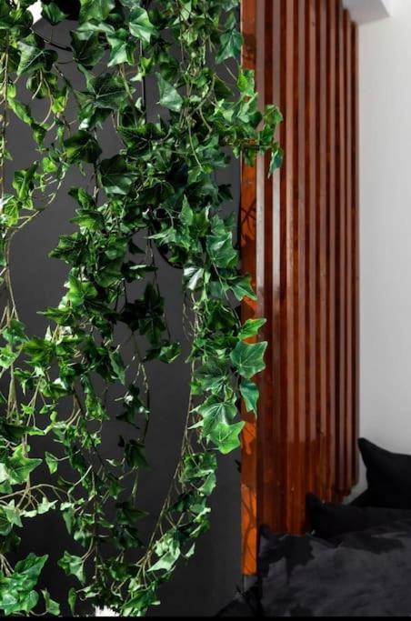 Novel Acropolis Apartment Atene Esterno foto